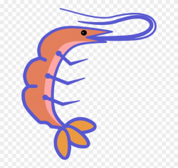 Shrimp Crab Lobster Fishing Seafood - Shrimp Clipart ...