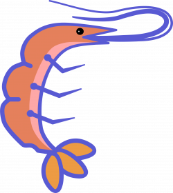 Clipart - shrimp
