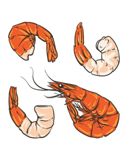 Seafood cocktail drawing. Shrimp for a party or dinner. Hand ...