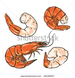 Shrimp cocktail drawing on a white background. seafood for a ...
