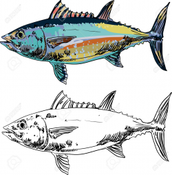 Free Seafood Clipart tuna fish, Download Free Clip Art on ...