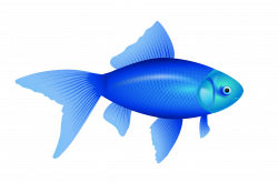 Sea animals clipart no background collection