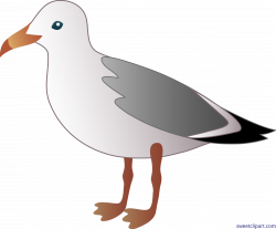 Seagull Clip Art - Sweet Clip Art