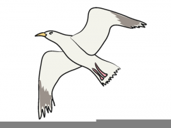 Flying Seagull Clipart Free | Free Images at Clker.com - vector clip ...