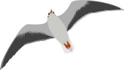 Sea Gull Seagull clip art Free vector in Open office drawing svg ...