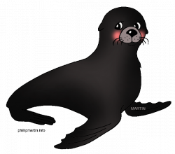 Seal Animal Clipart
