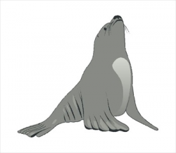 Free Seals Clipart - Free Clipart Graphics, Images and Photos ...