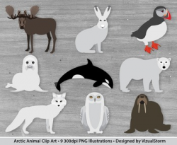 Arctic Animal Clipart - 9 Hand Drawn Antarctic Mammals Clip Art Set