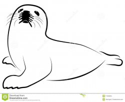 arctic baby seal illustration - Google Search | Minták ekkor ...