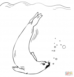 Fur Seal Swimming coloring page | Free Printable Coloring Pages