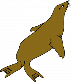 Clipart - Seal (colour)
