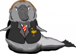 Elephant Seal Cartoon – Best Image Of Elephant 2018