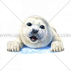 Cute Seal | Production Ready Artwork for T-Shirt Printing