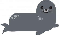 Harbor Seal PNG Victor Transparent Clipart Image #8 - Free ...
