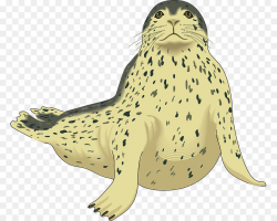 Penguin Cartoon clipart - Penguin, Seals, Fish, transparent ...