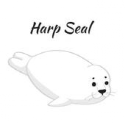 Harp seal clipart 3 » Clipart Portal