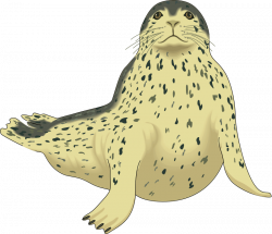 Leopard Seal Clipart - Clip Art Bay