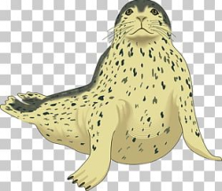 Leopard Seal PNG Images, Leopard Seal Clipart Free Download