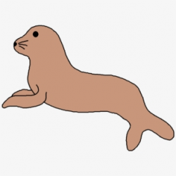 Leopard Seal Clipart Aquatic Animal - Sea Lions White ...