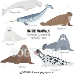 Vector Illustration - Marine mammal set. walrus, narwhal ...