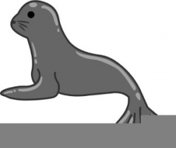 Animal Seal Clipart | Free Images at Clker.com - vector clip ...