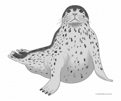 Seal Clipart Real Animal - Leopard Seal Clip Art {#5139851 ...