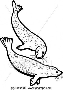 Vector Art - Spotted seals. Clipart Drawing gg78952536 - GoGraph