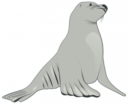Clipart - Sea Lion