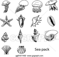 EPS Vector - Collection of sea animals and shells. Stock ...