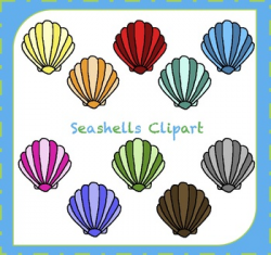Seashells Clipart / Ocean Clipart / Shells Clipart by Made by Lilli