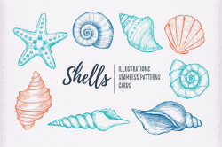Shells clipart. Hand drawn illustrations
