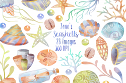 Watercolor Seashells Clipart