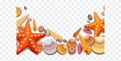 Beach Clipart Seashell - Transparent Shells Png (#3371351 ...