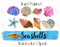 Seashells, Seashells Watercolor Clipart, Ocean Shell, Starfish, Coral,  Marine, Sea Snail, Summer clipart, Beach clip art, Nautical clipart