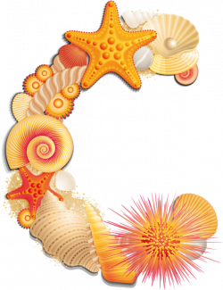 Beach Letter C - Seashell Alphabet S Png - Download Clipart ...