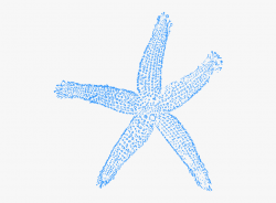 Starfish Clipart Seashell - Blue Starfish Clip Art #183027 ...