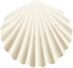 Seashell White Transparent PNG Clip Art Image | Gallery ...