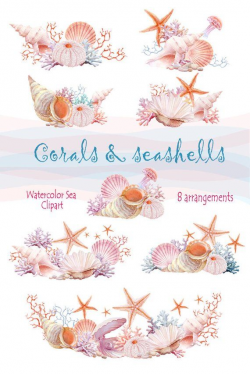Watercolour Hand Painted Sea clipart, arrangement with ...