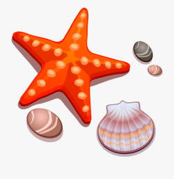 Drawing Shell Starfish - Easy Star Fish Drawing #2180281 ...