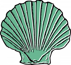 Sage Green Seashell Clip Art at Clker.com - vector clip art ...