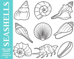 Digital Seashells Clip Art - Sea, Seashell, Ocean, Beach ...