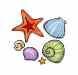 Seashell Starfish Sea snail Clip art - Hand painted shellfish ...