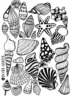 Sea shells | border & name plates ☺ in 2019 | Book art, Ink ...