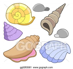 Drawings - Sea shells collection. Stock Illustration ...