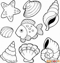 Coloring Pages Of Sea Shell Shape - Sea Shells Clip Art ...