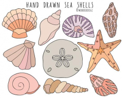 Sea Shells clipart -Hand Drawn Clip Art - Beach Clipart Shells illustration