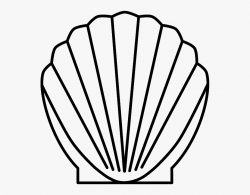 Drawing Shell Scallop - Sea Shell Line Art #1251775 - Free ...