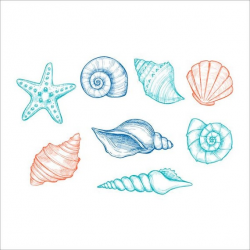 SALE 30% Watercolor Sea Shells Clipart, Hand-Painted Ocean, Beach, and  Nature Graphics- Seaside, instant download, files JPG PNG