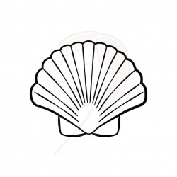 Collection of Seashell clipart | Free download best Seashell ...