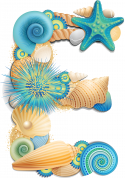 Collection of 14 free Alphabetics clipart seashell. Download on ubiSafe